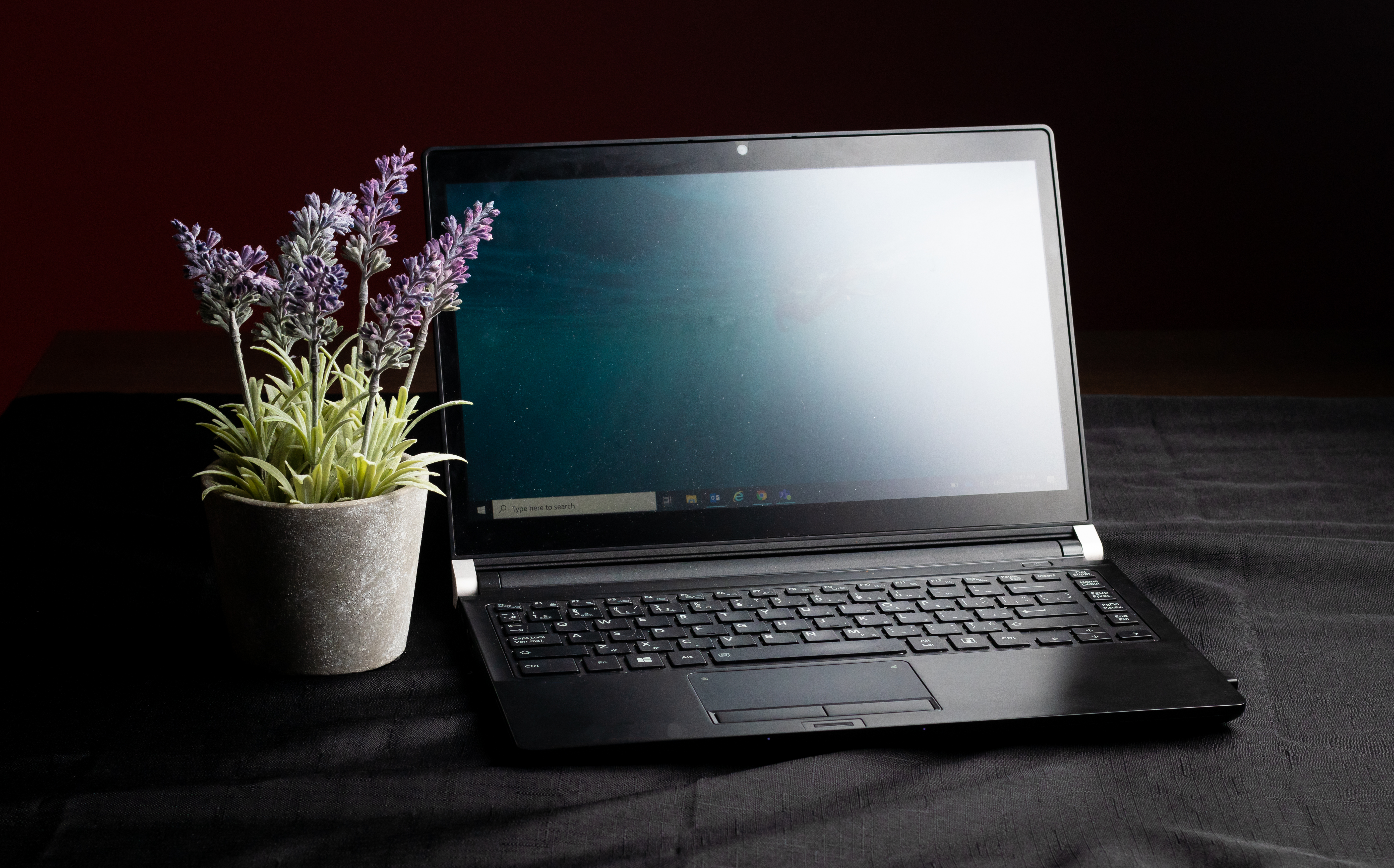 Laptop and a lavender plant on a dark background.
